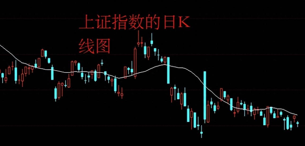 市場前景深度解析