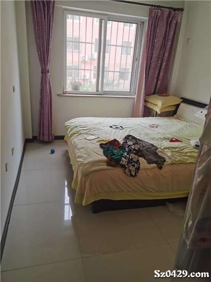 大皇王中王一肖，揭秘背后的秘密與策略，揭秘大皇王中王一肖背后的秘密與策略