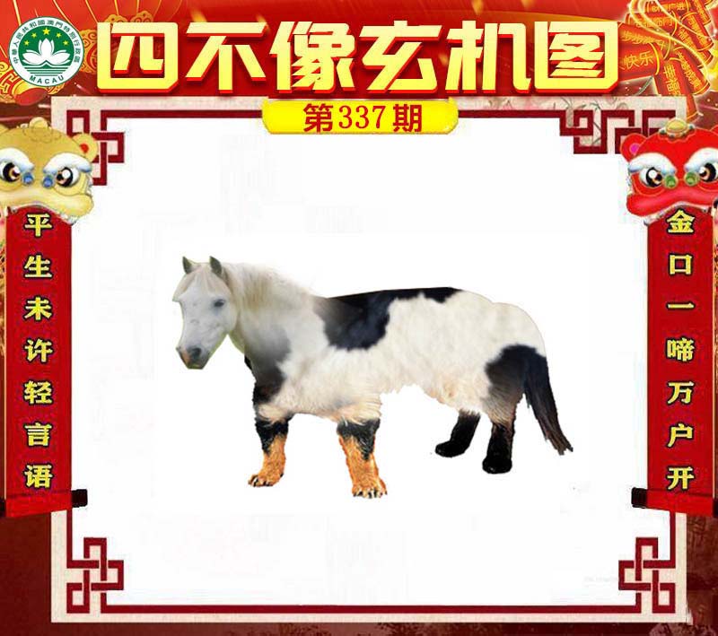 王中王四不象一肖中特，揭秘生肖運勢與神秘預(yù)測，揭秘生肖運勢與神秘預(yù)測，王中王四不象一肖中特揭曉秘密