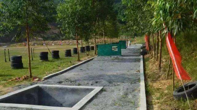 近期國防軍事事件，全球軍事動態(tài)深度解析，全球軍事動態(tài)深度解析，國防軍事事件最新進展與啟示