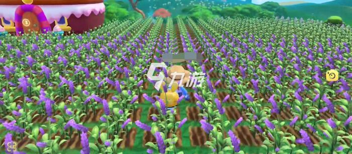 摩爾莊園紫羅蘭種子，種植與優(yōu)化的SEO策略，摩爾莊園紫羅蘭種子種植與SEO策略優(yōu)化指南