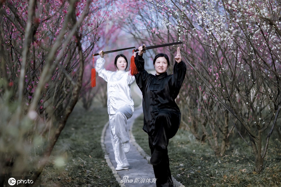 揭秘劉伯溫一期一肖期期中的奧秘與真相，劉伯溫一期一肖期奧秘與真相揭秘