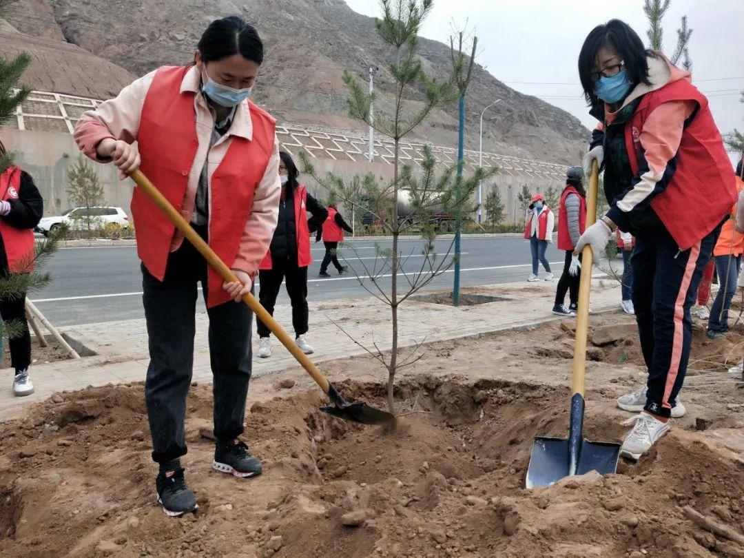天下彩天天空彩資料免費大全管家，探索與解析，天下彩天天空彩資料大全管家，深度探索與解析